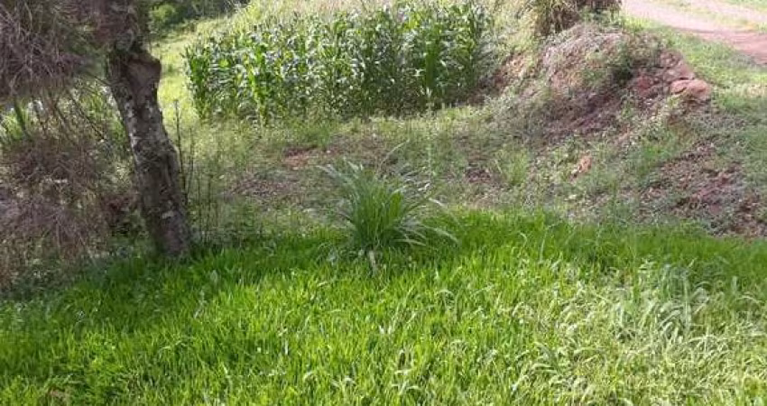 Chácara / sítio à venda no Santa Lúcia do Piaí, Caxias do Sul 