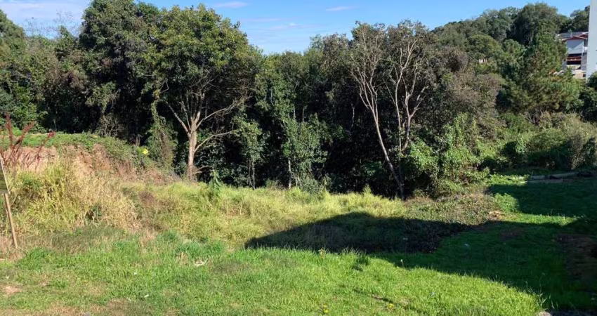 Terreno à venda na Cidade Industrial, Caxias do Sul 