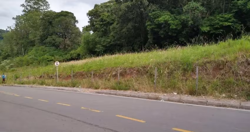Terreno à venda no São Victor COHAB, Caxias do Sul 