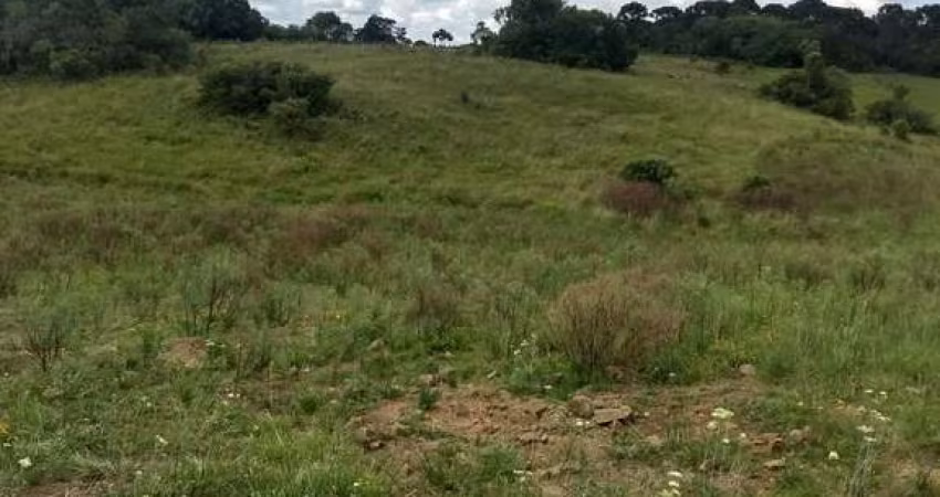 Chácara / sítio à venda na Zona Rural, São Francisco de Paula 