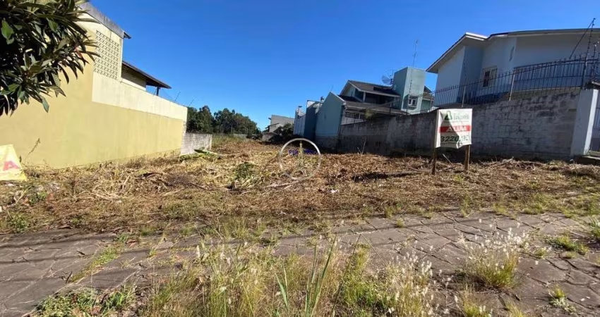 Terreno comercial para alugar no Cinqüentenário, Caxias do Sul 