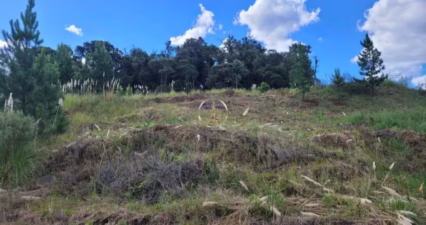 Terreno à venda no Jardim das Hortências, Caxias do Sul 