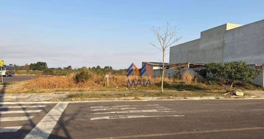 Terreno à venda, 361 m² por R$ 425.000,00 - Afonso Pena - São José dos Pinhais/PR