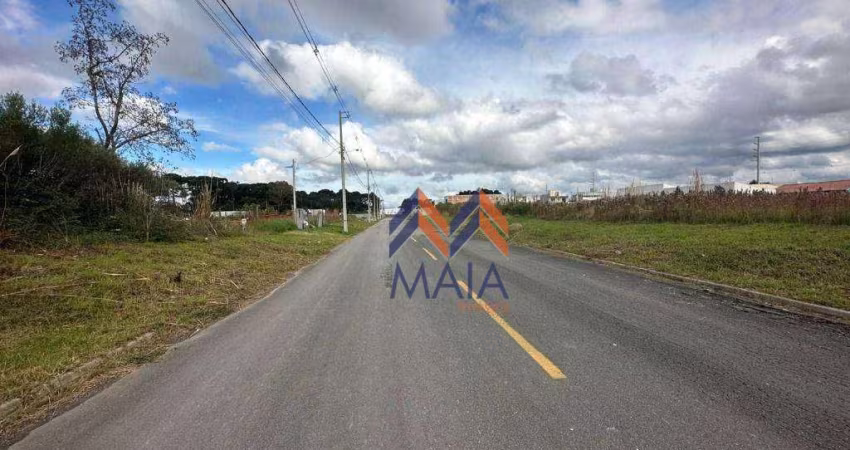 Terreno à venda, 360 m² por R$ 270.000,00 - Rio Pequeno - São José dos Pinhais/PR