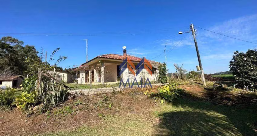 CHACARA COM APROXIMADAMENTE 8 ALQUEIRES EM TIJUCAS DO SUL