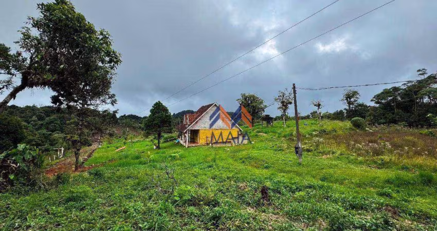 Chácara com 2 dormitórios à venda, 66000 m² por R$ 990.000,00 - Borda Do Campo - São José dos Pinhais/PR