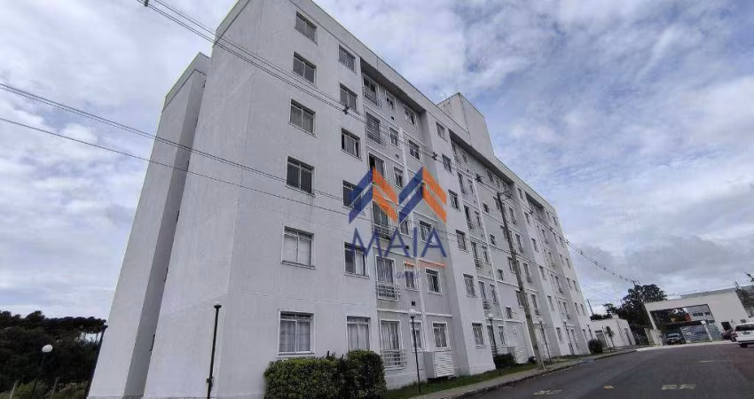 Apartamento semi mobiliado com 3 dormitórios à venda, 56 m² por R$ 289.000 - Afonso Pena - São José dos Pinhais/PR