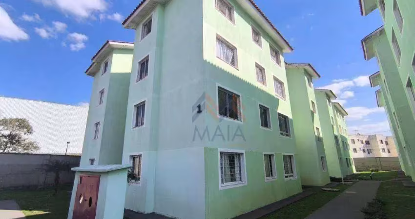 Apartamento com 3 dormitórios para alugar, 57 m² por r$ 1.830/mês - rio pequeno - são josé dos pinhais/pr