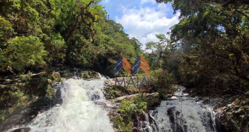 Área à venda, 92 Alqueires por R$ 3.000.000 - Campina - São José dos Pinhais/PR