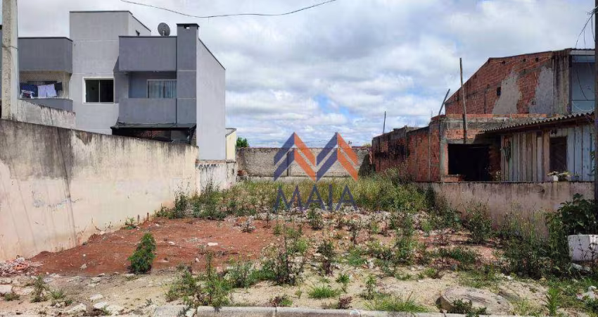 Terreno à venda, 256 m² por R$ 350.000,00 - Afonso Pena - São José dos Pinhais/PR