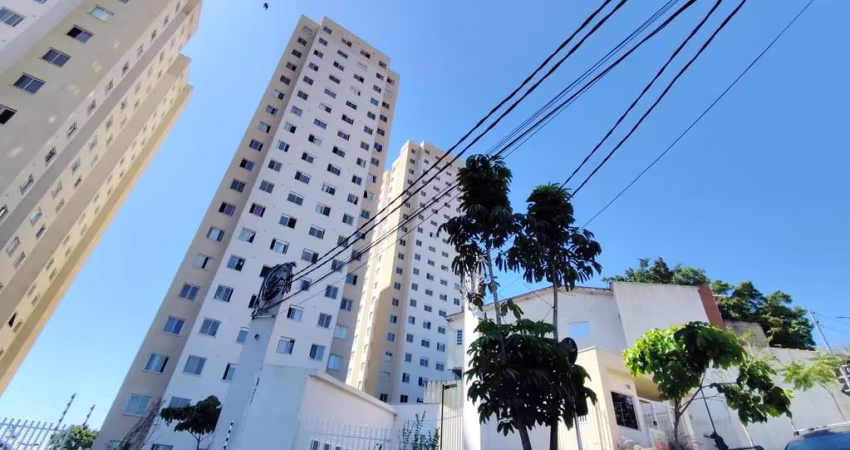 Apartamento Novo para Locação – 2 Dorms |4 Min da Av. Maria Luiza Americana