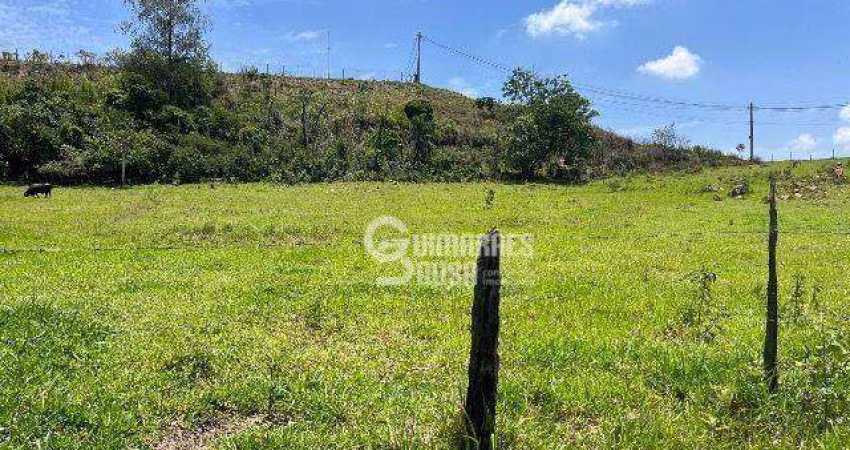 Área Comercial à venda, Jardim Vera Cruz, Louveira - AR0062.