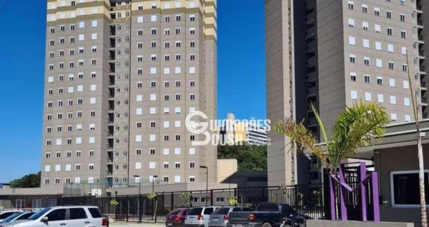 Vende ou aluga apto 2 dorm - Maxx Sta Ângela