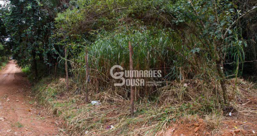 Terreno à venda, 11000 m² por R$ 650.000,00 - Dois Córregos - Valinhos/SP