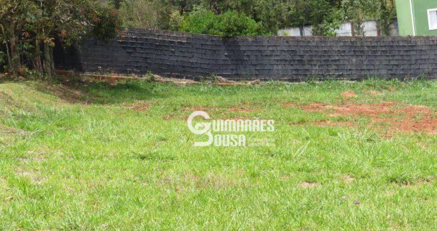 Terreno à venda, 604 m² por r$ 550.000,00 - mirante das estrelas  - vinhedo/sp