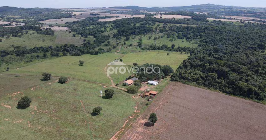 FAZENDA BOA VISTA (20 ALQUEIRES) - LINDA VISTA - MUNICÍPIO DE CEZARINA-GO