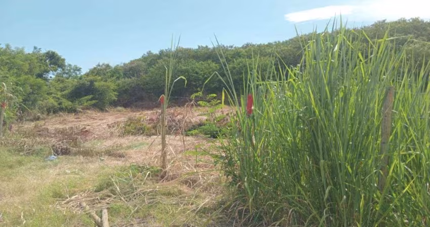 LOTE DE FUNDOS PARA LAGOA DO PARQUE NANCI