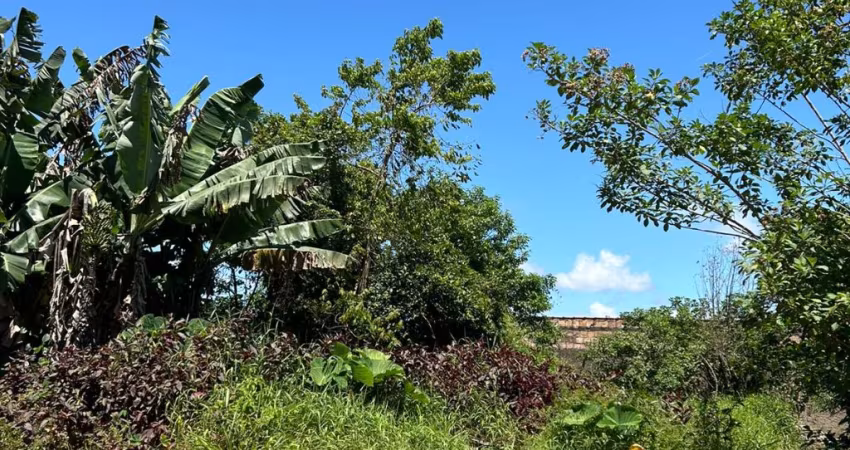 Oportunidade em Barra Velha: terreno escriturado a poucos metros da praia