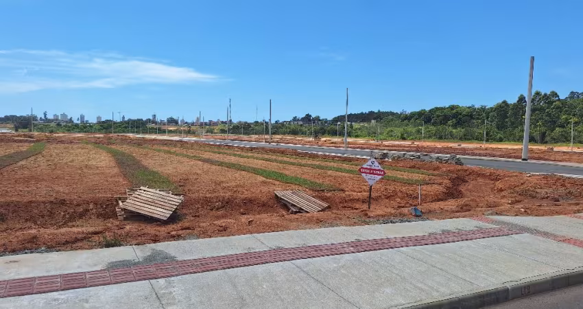 Terreno industrial de 780m² em Balneário Piçarras – Pronto para construir!