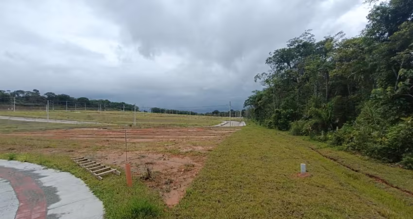 Terreno aterrado em rua pavimentada, pronto para construir!
