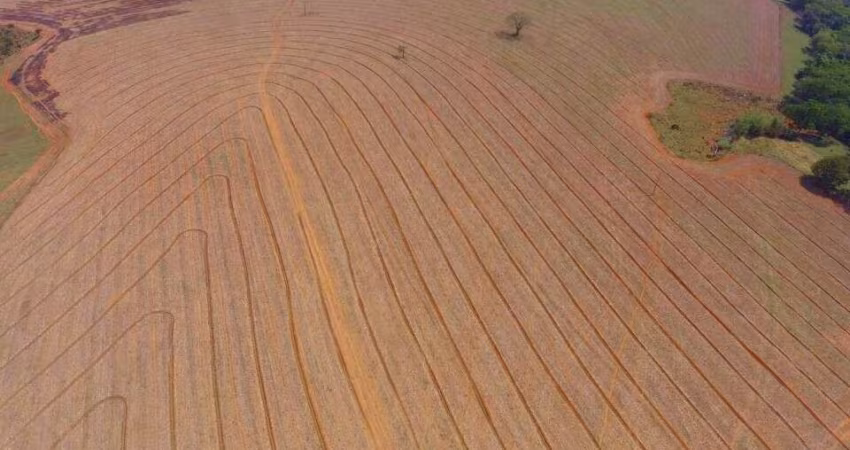 Fazenda  Venda Patos de Minas/MG dupla aptidão, agricultura e pecuária