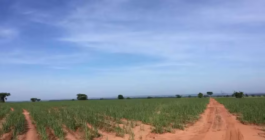 Fazenda à venda no Centro, Panorama 
