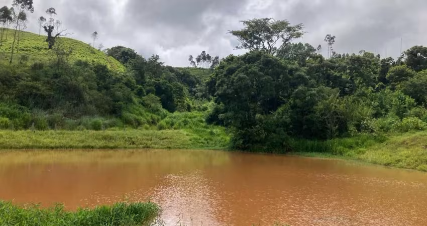 Fazenda Execelente na Região Itapira–São Paulo area de  106 Alqueires(paulista)