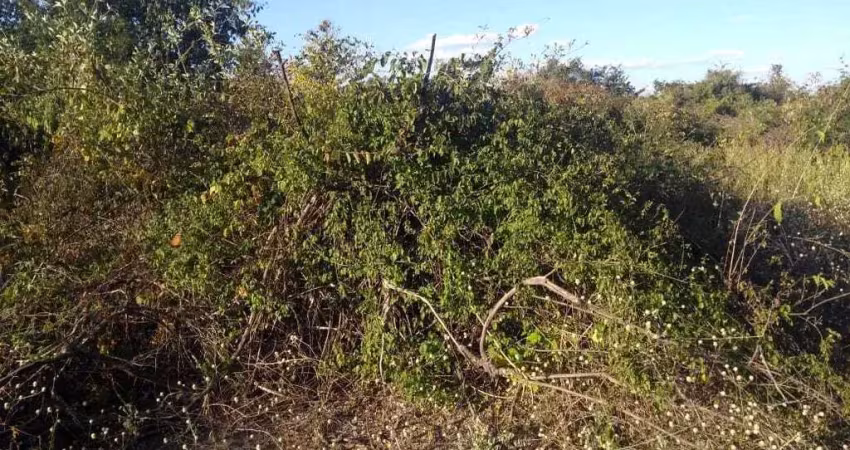 Fazenda à venda em Janaúba/MG