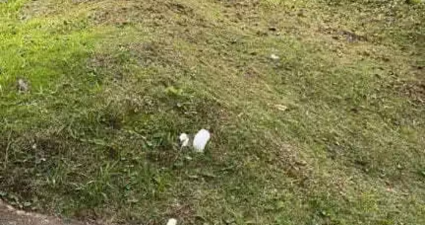 Terreno à venda no Real Park, Mogi das Cruzes 
