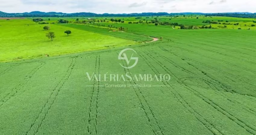 Fazenda à venda na Avenida Celestino Rosalino, Vista Alegre, Cacoal