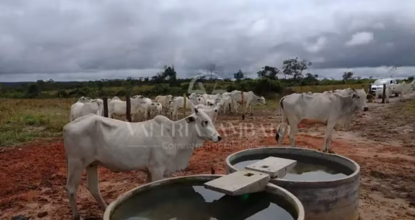 Fazenda à venda na Rua Afonso Pena, Centro (S-01), Vilhena