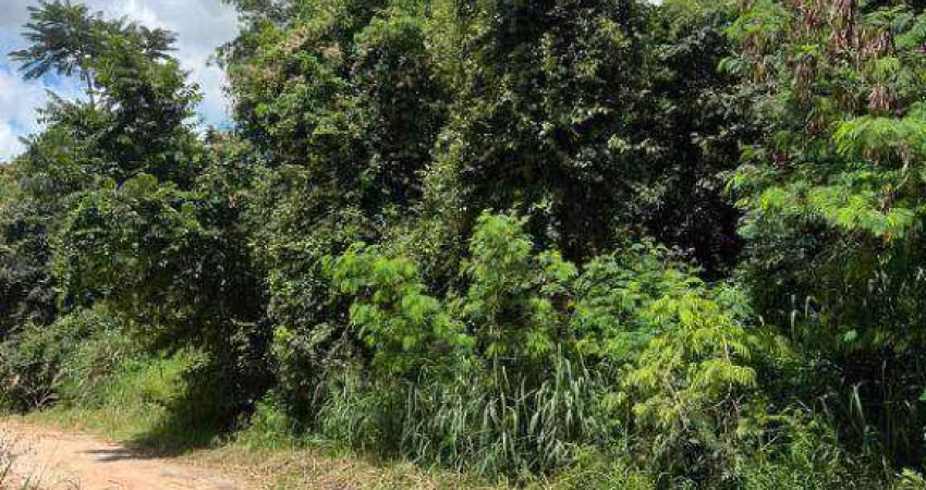 Terreno à venda, 400 m² por R$ 300.000,00 - Jardim Paulista - Atibaia/SP
