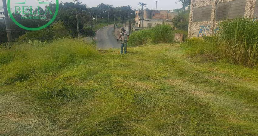 Barracão / Galpão / Depósito à venda na Avenida Paulicéia, Laranjeiras, Caieiras