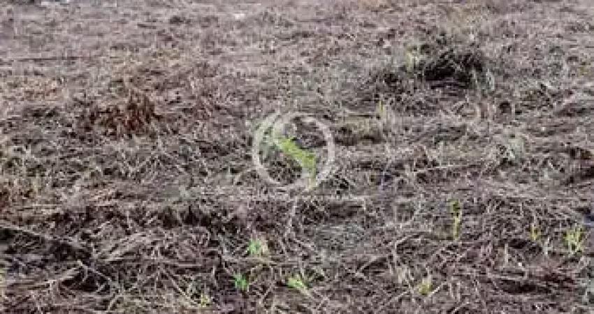 Condomínio residencial parque lusitano - terreno à venda no bairro tarumã açu - manaus/am