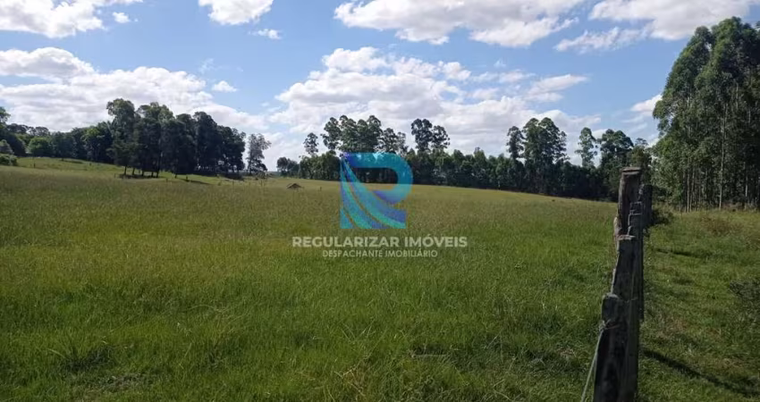 Fazenda com 138 hectares em Cachoeira Do Sul-Rs