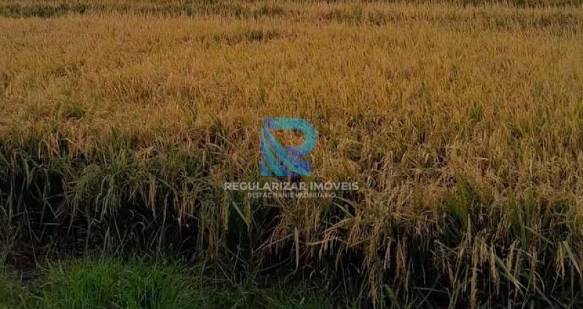 Fazenda 312 hectares