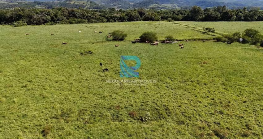 Fazenda 218 hectares em Santo Antônio Da Patrulha-Rs