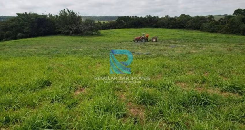 Fazenda Pecuária 45 hectares Viamão