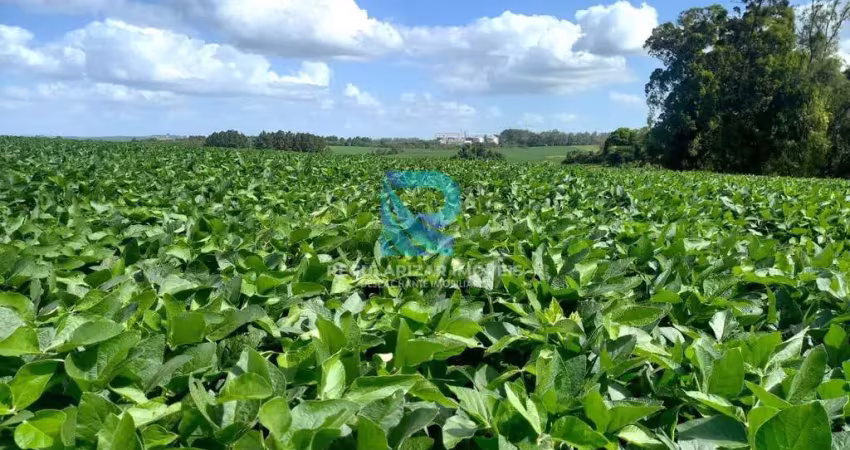 Fazenda com 150 hectares, otima produtividade!