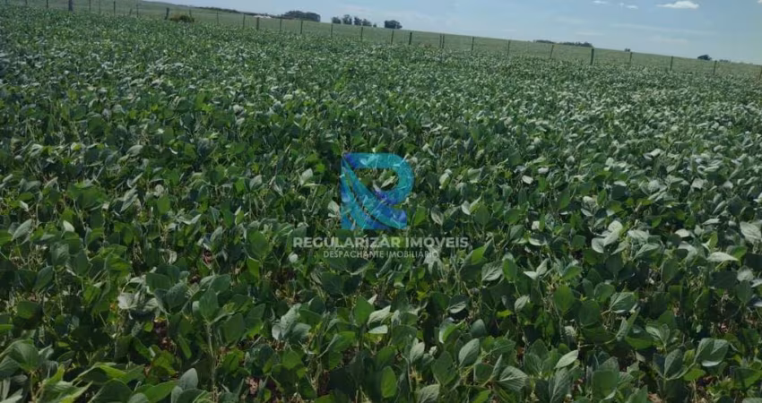 Fazenda com 401 hectares Cachoeira Do Sul-Rs