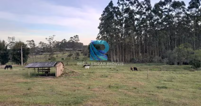 Chácara / sítio à venda no Centro, São João do Sul 