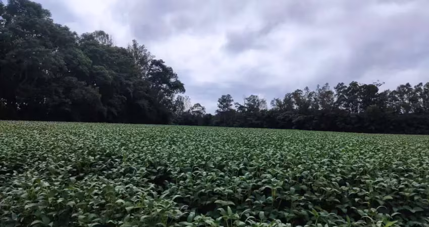 Chácara / sítio à venda na Rua Bernardo Guimarães, Colônia Dona LuÍza, Ponta Grossa