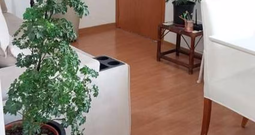 Apartamento com 2 quartos para alugar na Camilly Fernandes Rodrigues, 300, Acquaville, Londrina