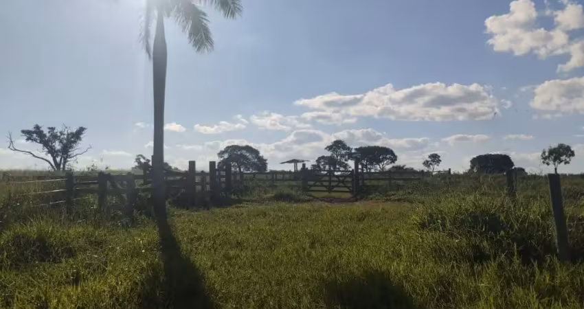 Fazenda à venda na Praça da Estacão, Zona Rural, Bocaiúva