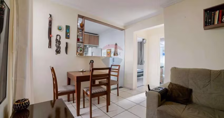 Apartamento com 2 quartos e lazer completo - são pedro