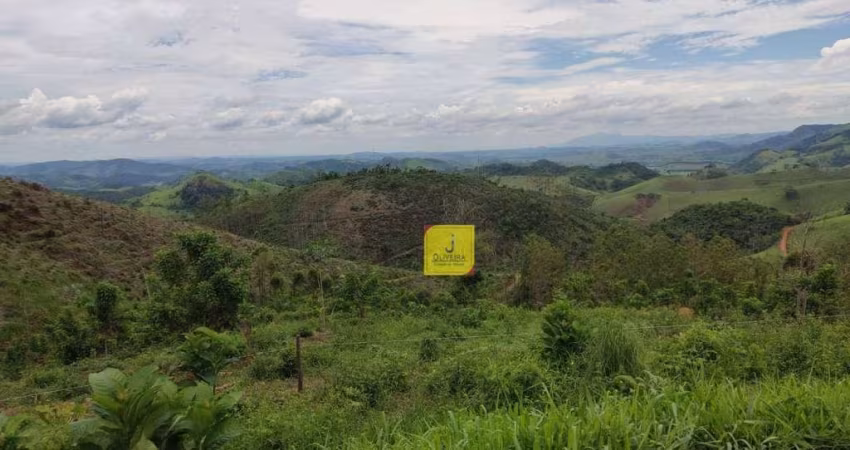 Terreno à venda, 20 m² por R$ 220.000 - Triqueda - Coronel Pacheco/MG.