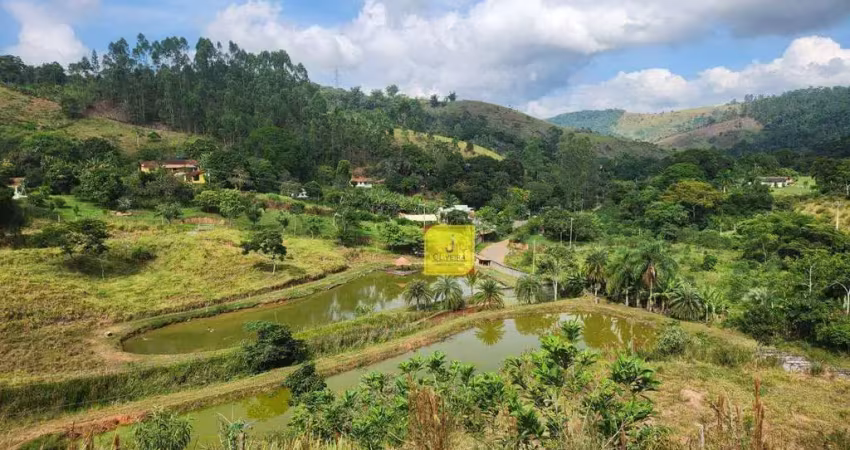 Terreno à venda, 22000 m² por r$ 1.100.000 - salvaterra - juiz de fora/mg