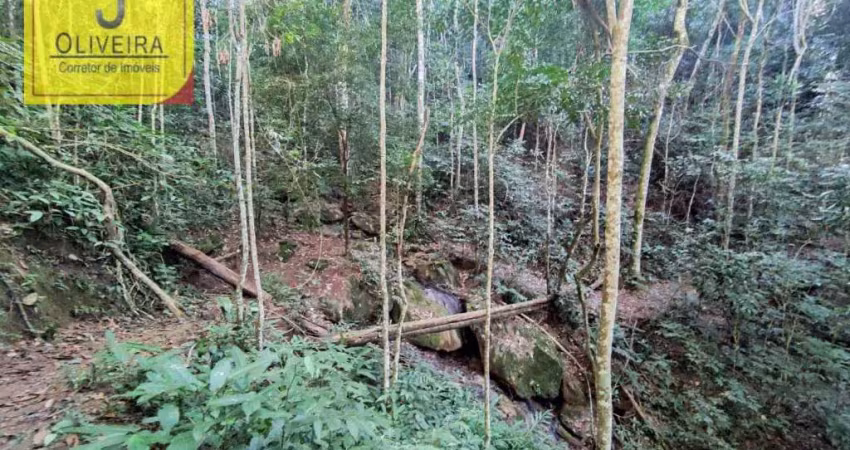 Sítio de 6,3Ha com Chalé e 2 Açudes à 12km de Igrejinha - (No Maracujá-BR 267).