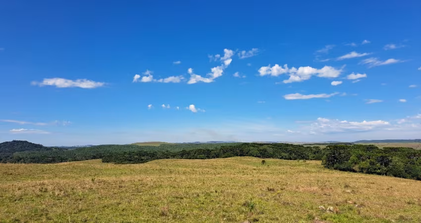 Fazenda próxima à cidade