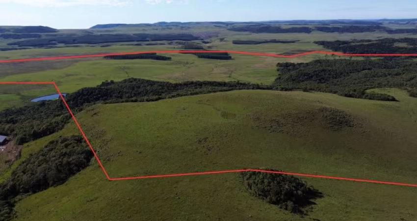 Fazenda pronta para Pecuária